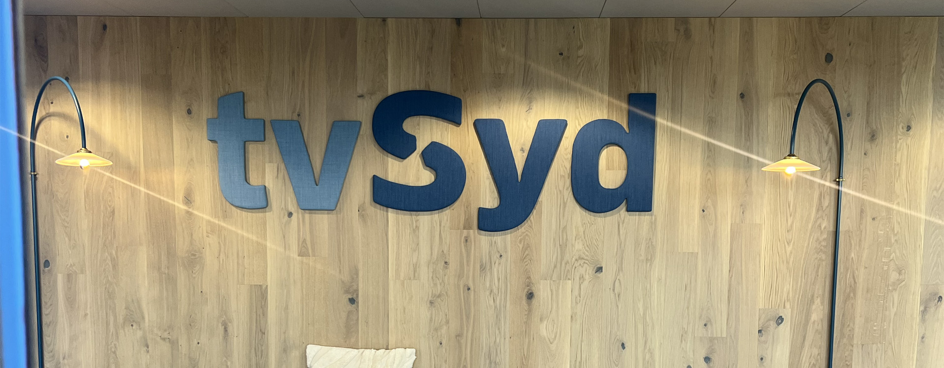 TV Syd